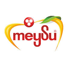 MEYSU GIDA SANAYİ VE TİCARET A.Ş. / MEYSU MEYVE SULARI Logo